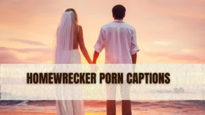 Homewrecker Porn captions