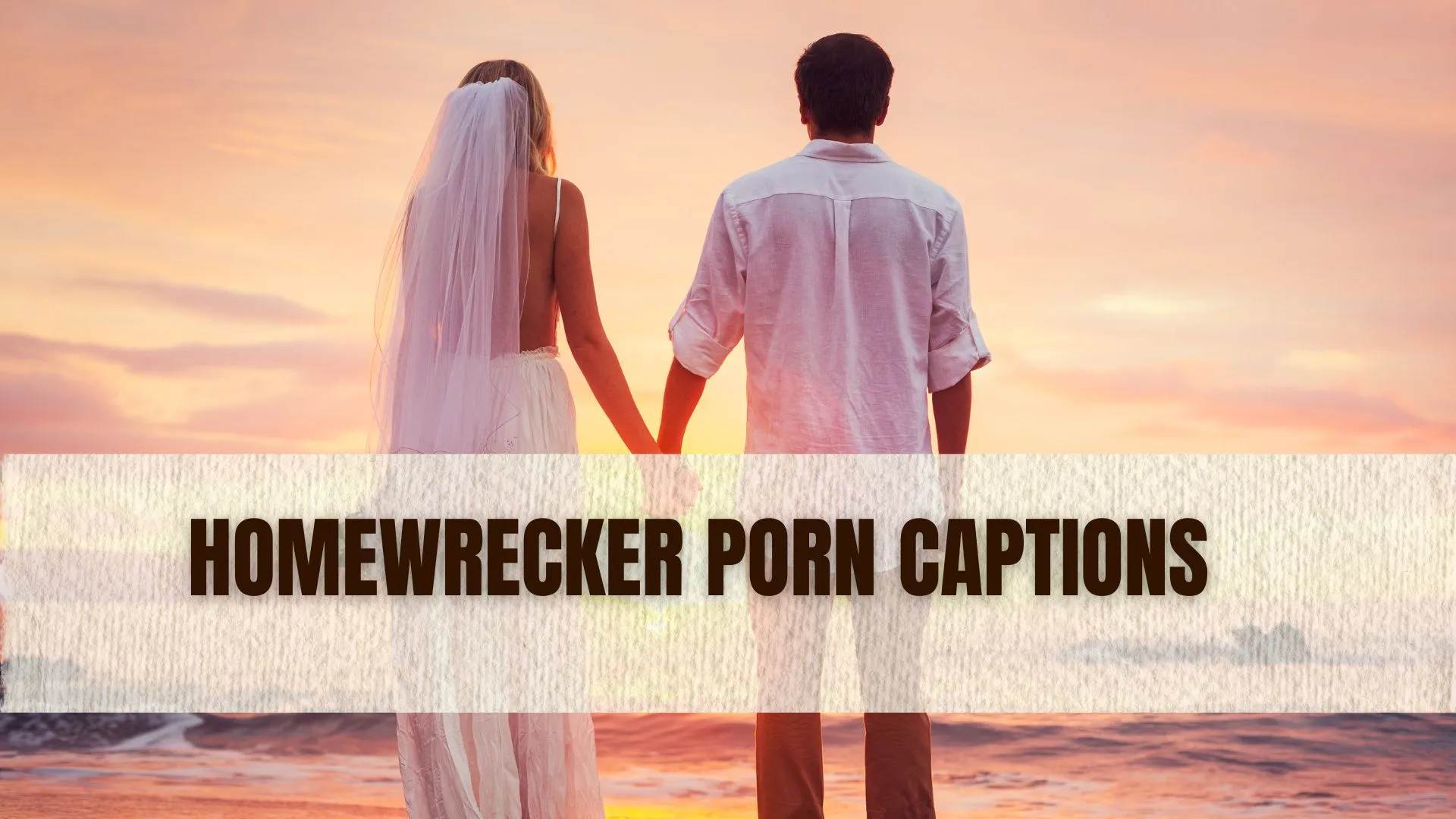 Homewrecker Porn captions